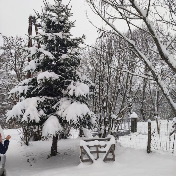Maison De Montagne Au Calme Avec Cheminee Poubeau Zewnętrze zdjęcie